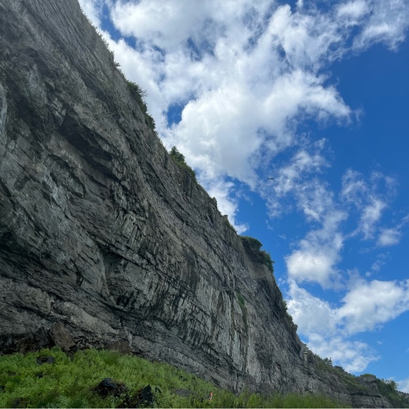 Meet your Posher, Sunnybright - Picture 1 of 1